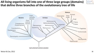Comprehensive Introduction to Biochemistry: Foundations and Evolution | PDF