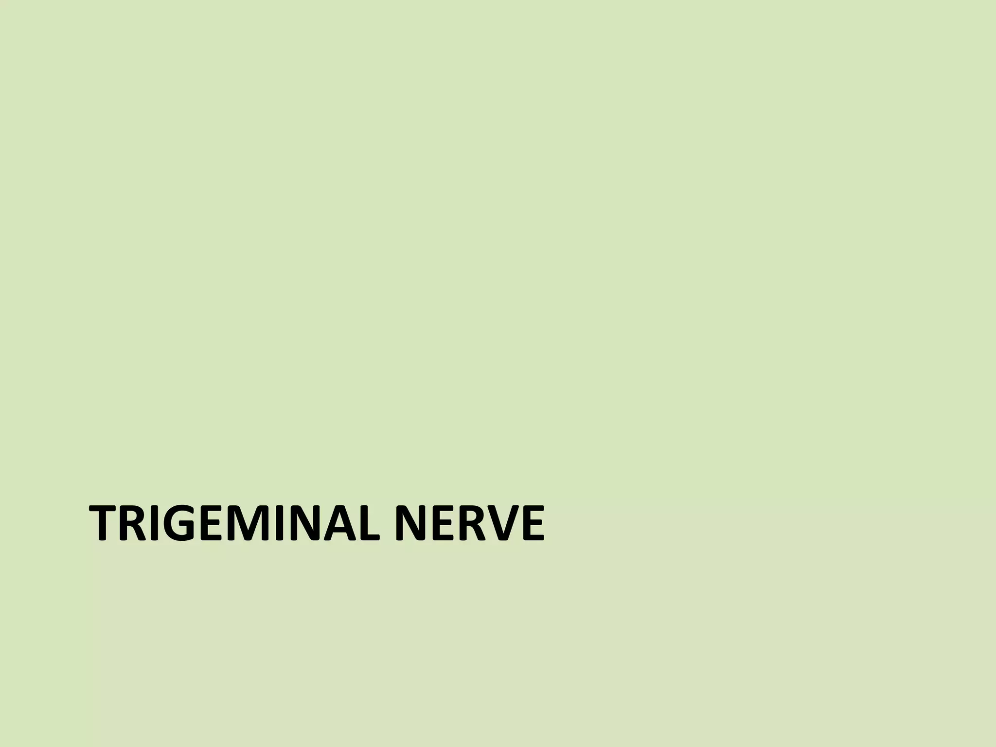 TRIGEMINAL NERVE

 