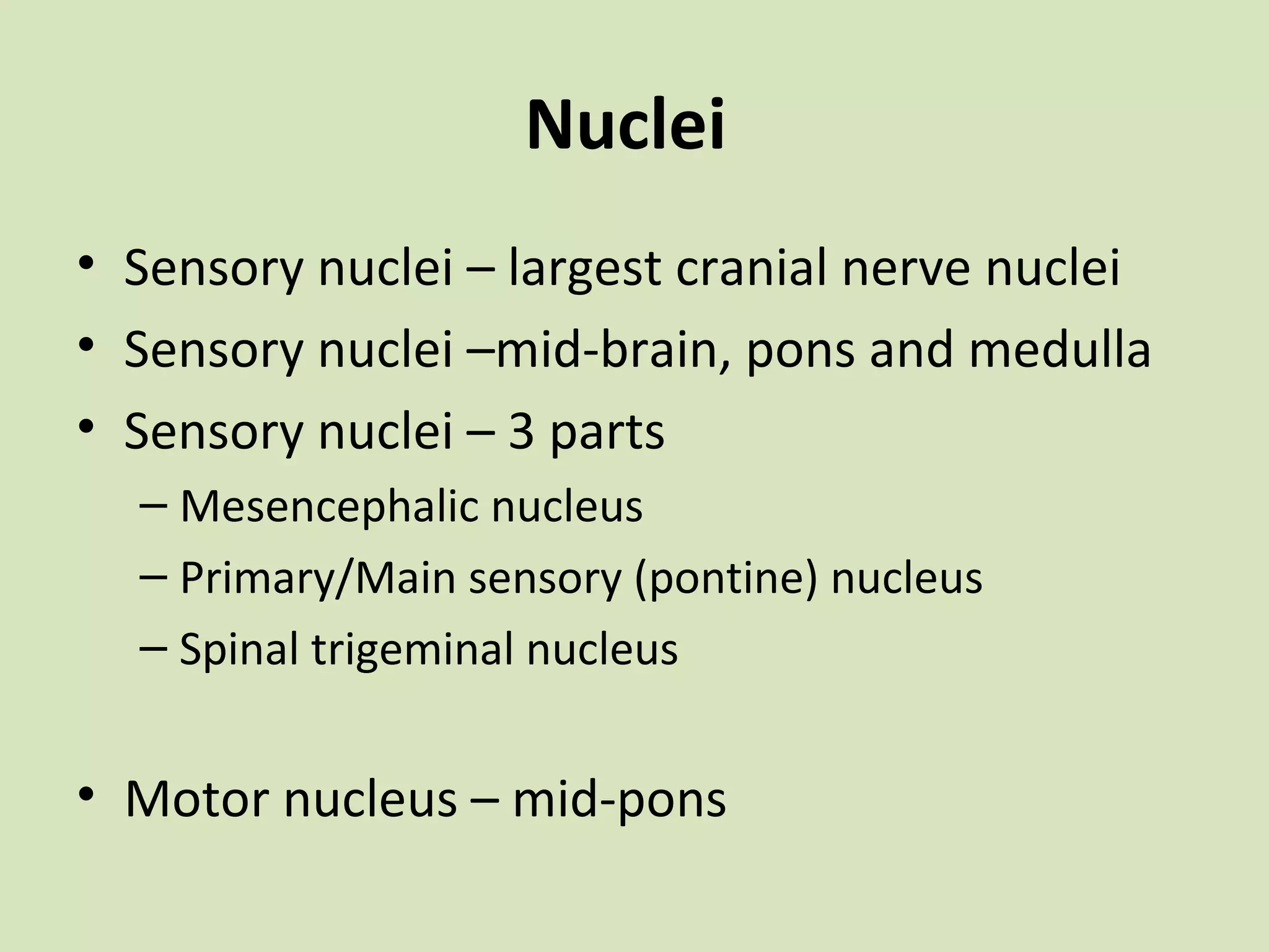 Nuclei
• Sensory nuclei – largest cranial nerve nuclei
• Sensory nuclei –mid-brain, pons and medulla
• Sensory nuclei – 3 parts
– Mesencephalic nucleus
– Primary/Main sensory (pontine) nucleus
– Spinal trigeminal nucleus

• Motor nucleus – mid-pons

 