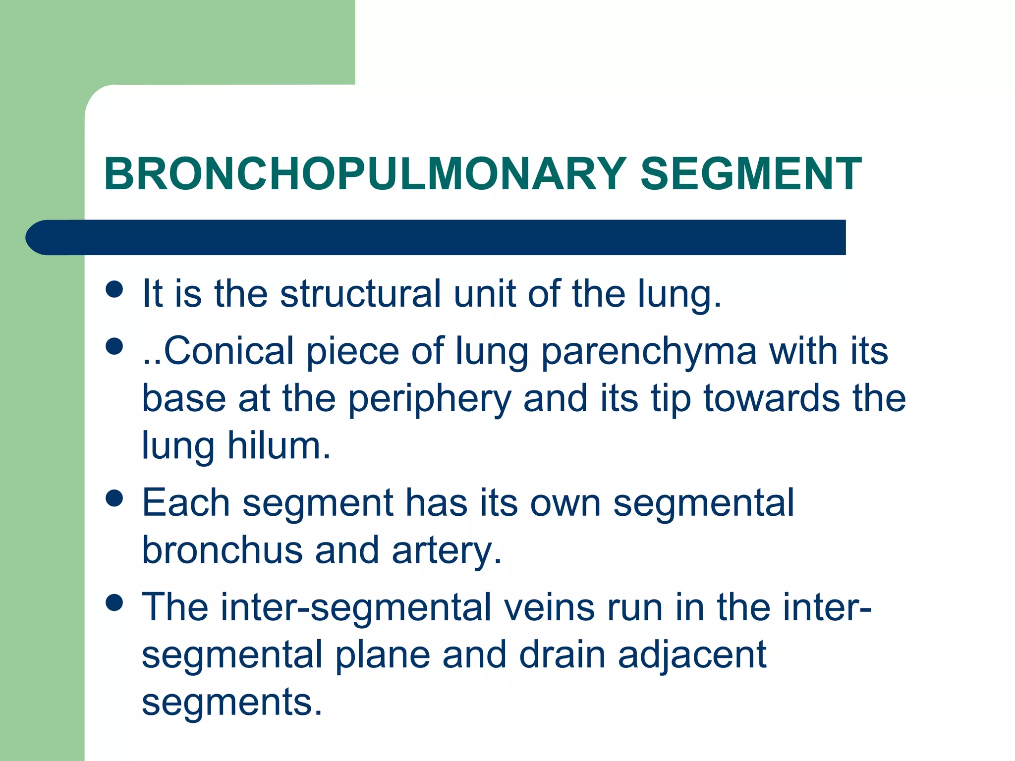BRONCHOPULMONARY SEGMENT 
 It is the structural unit of the lung. 
 ..Conical piece of lung parenchyma with its 
base at the periphery and its tip towards the 
lung hilum. 
 Each segment has its own segmental 
bronchus and artery. 
 The inter-segmental veins run in the inter-segmental 
plane and drain adjacent 
segments. 
 