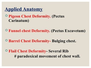 INTRODUCTION TO THORAX & RESPIRATORY MOVEMENTS | PPTX
