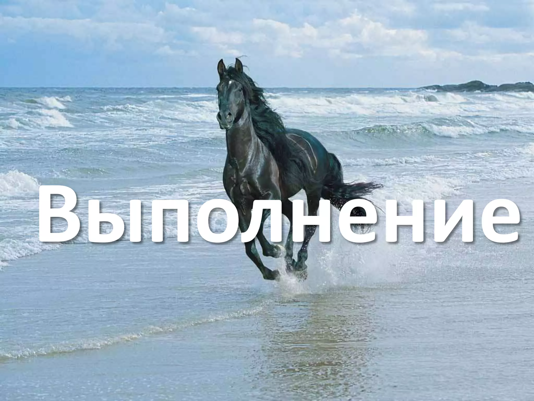 Выполнение