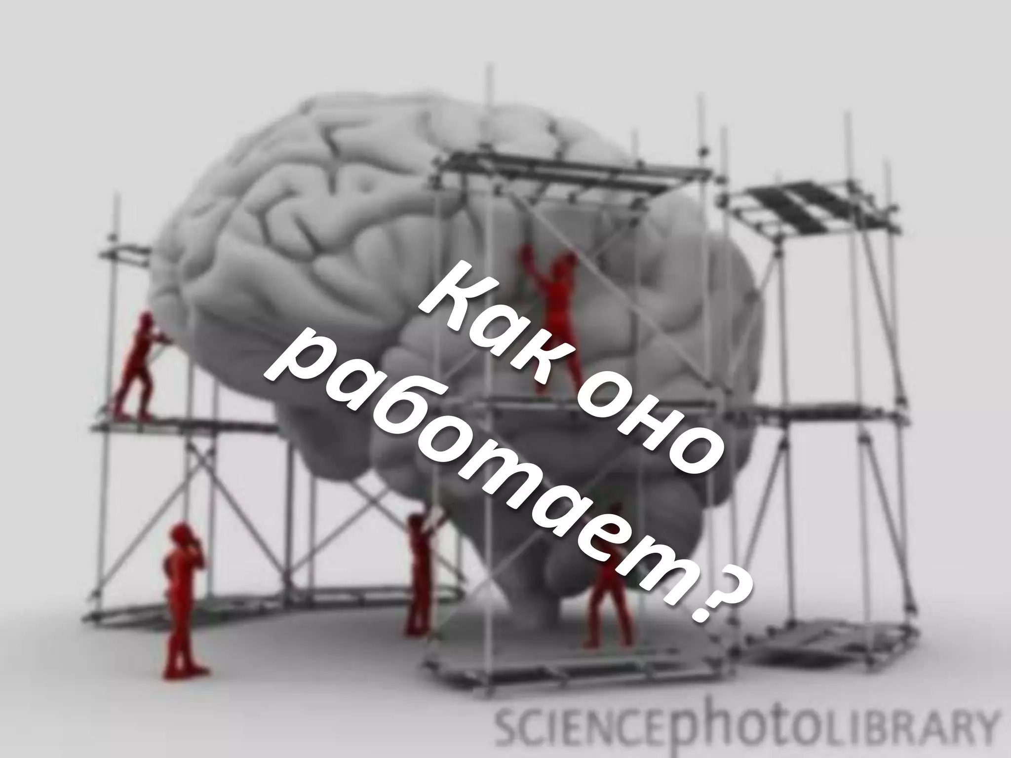 Как оно работает?