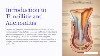 Introduction to
Tonsillitis and
Adenoiditis
Tonsillitis and adenoiditis are two common conditions that can cause
significant discomfort and affect a person's overall health. The tonsils and
adenoids are small masses of lymphoid tissue located at the back of the
throat, and they play a crucial role in the body's immune system.
However, when these tissues become inflamed or infected, it can lead to
a range of unpleasant symptoms that can significantly impact a person's
quality of life.
 