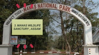 3. MANAS WILDLIFE
SANCTURY , ASSAM
 