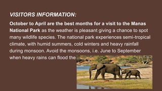 VISITORS INFORMATION:
October to April are the best months for a visit to the Manas
National Park as the weather is pleasant giving a chance to spot
many wildlife species. The national park experiences semi-tropical
climate, with humid summers, cold winters and heavy rainfall
during monsoon. Avoid the monsoons, i.e. June to September
when heavy rains can flood the park.
 