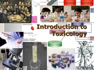 Introduction to
    Toxicology
 