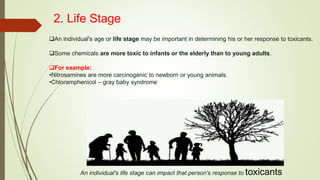 2. Life Stage
An individual's age or life stage may be important in determining his or her response to toxicants.
Some chemicals are more toxic to infants or the elderly than to young adults.
For example:
•Nitrosamines are more carcinogenic to newborn or young animals.
•Chloramphenicol – gray baby syndrome
An individual's life stage can impact that person's response to toxicants
 