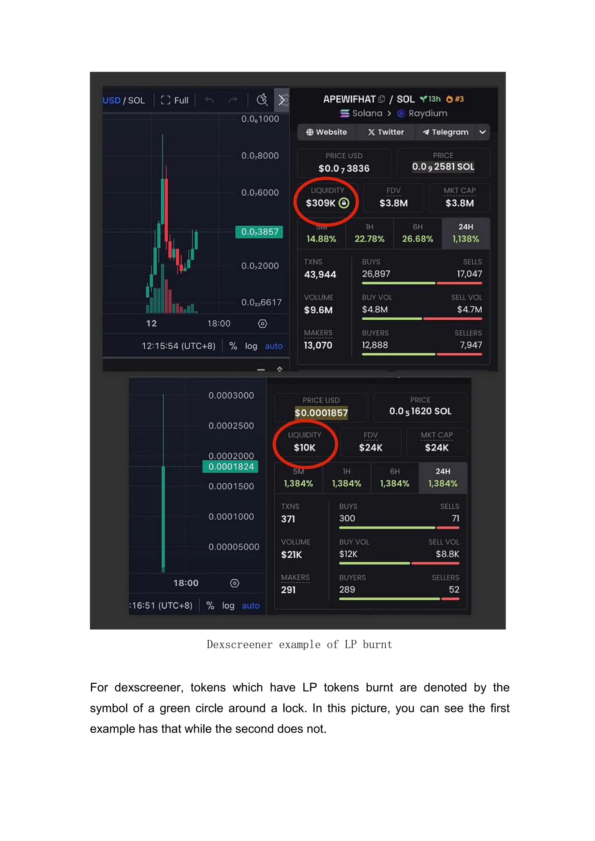 Introduction to trading Solana Memecoins.pdf