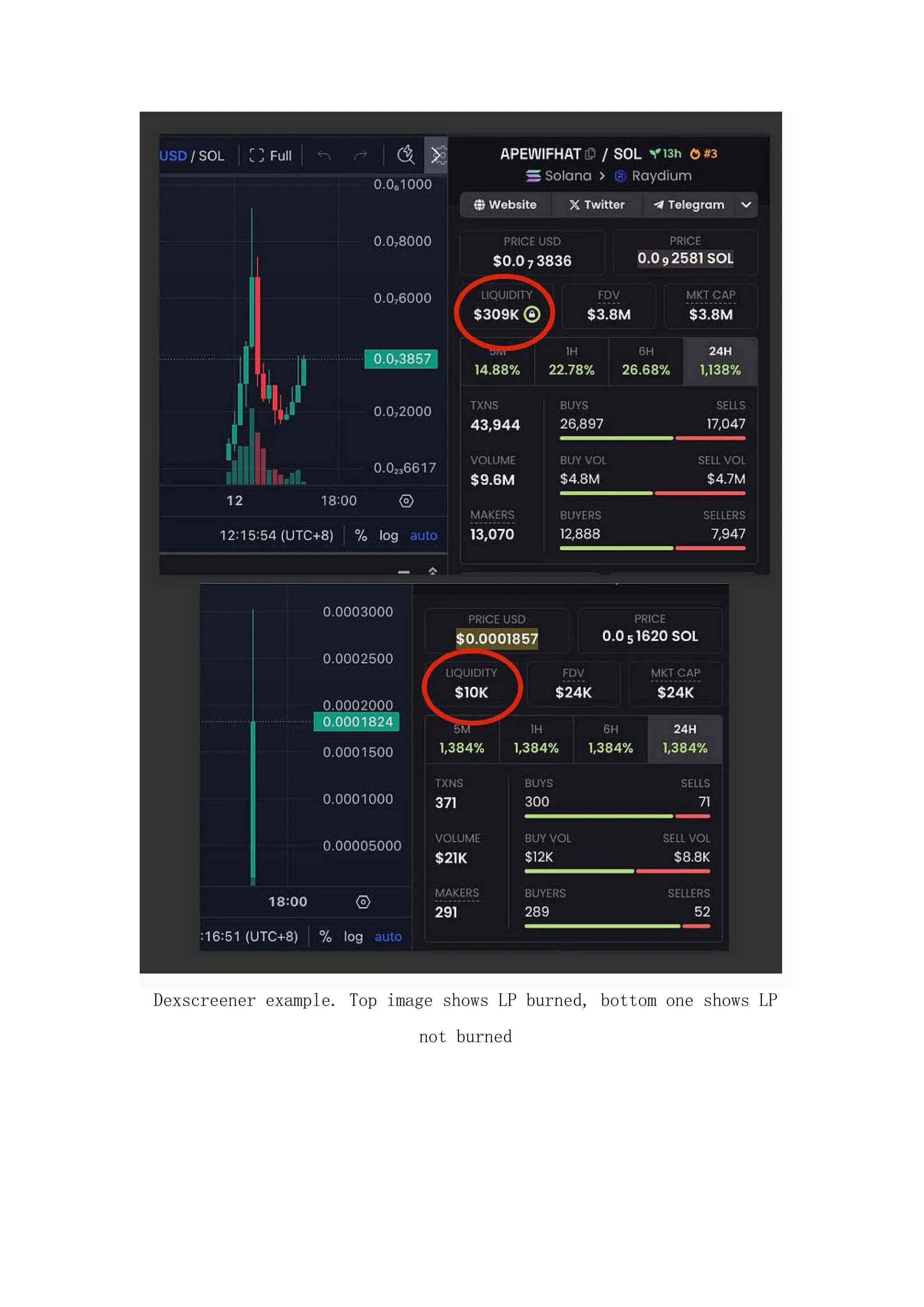 Introduction to trading Solana Memecoins.pdf