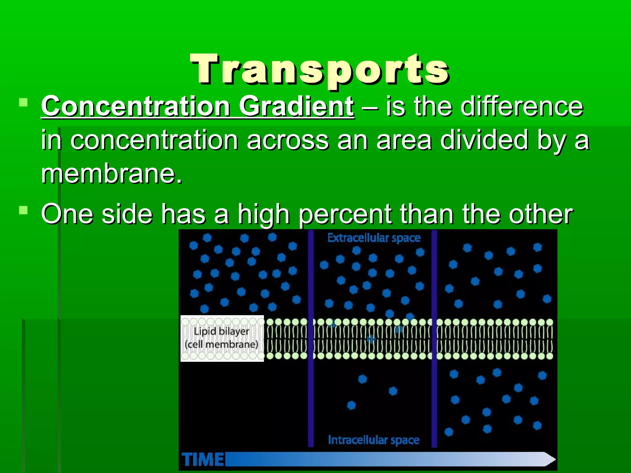 TransportsTransports
 Concentration GradientConcentration Gradient – is the difference– is the difference
in concentration across an area divided by ain concentration across an area divided by a
membrane.membrane.
 One side has a high percent than the otherOne side has a high percent than the other
 