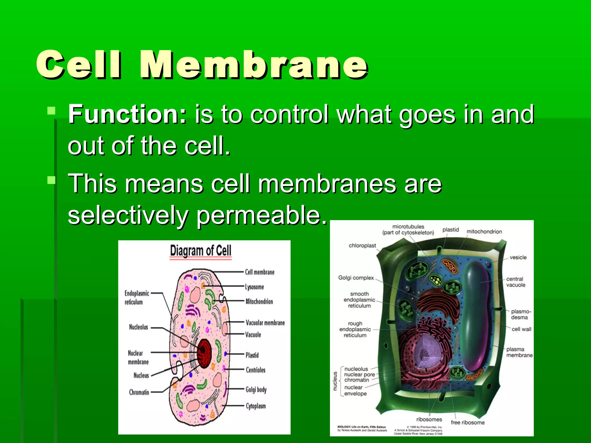 Cell MembraneCell Membrane
 Function:Function: is to control what goes in andis to control what goes in and
out of the cell.out of the cell.
 This means cell membranes areThis means cell membranes are
selectively permeable.selectively permeable.
 