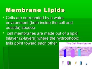 Membrane LipidsMembrane Lipids
 Cells are surrounded by a waterCells are surrounded by a water
environment (both inside the cell andenvironment (both inside the cell and
outside) sooooooutside) sooooo
 cell membranes are made out of a lipidcell membranes are made out of a lipid
bilayer (2-layers) where the hydrophobicbilayer (2-layers) where the hydrophobic
tails point toward each othertails point toward each other
 