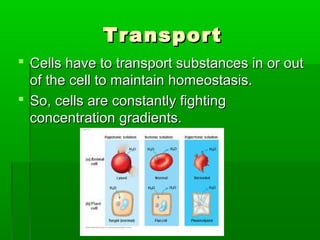 TransportTransport
 Cells have to transport substances in or outCells have to transport substances in or out
of the cell to maintain homeostasis.of the cell to maintain homeostasis.
 So, cells are constantly fightingSo, cells are constantly fighting
concentration gradients.concentration gradients.
 