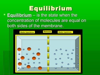 EquilibriumEquilibrium
 EquilibriumEquilibrium – is the state when the– is the state when the
concentration of molecules are equal onconcentration of molecules are equal on
both sides of the membrane.both sides of the membrane.
 