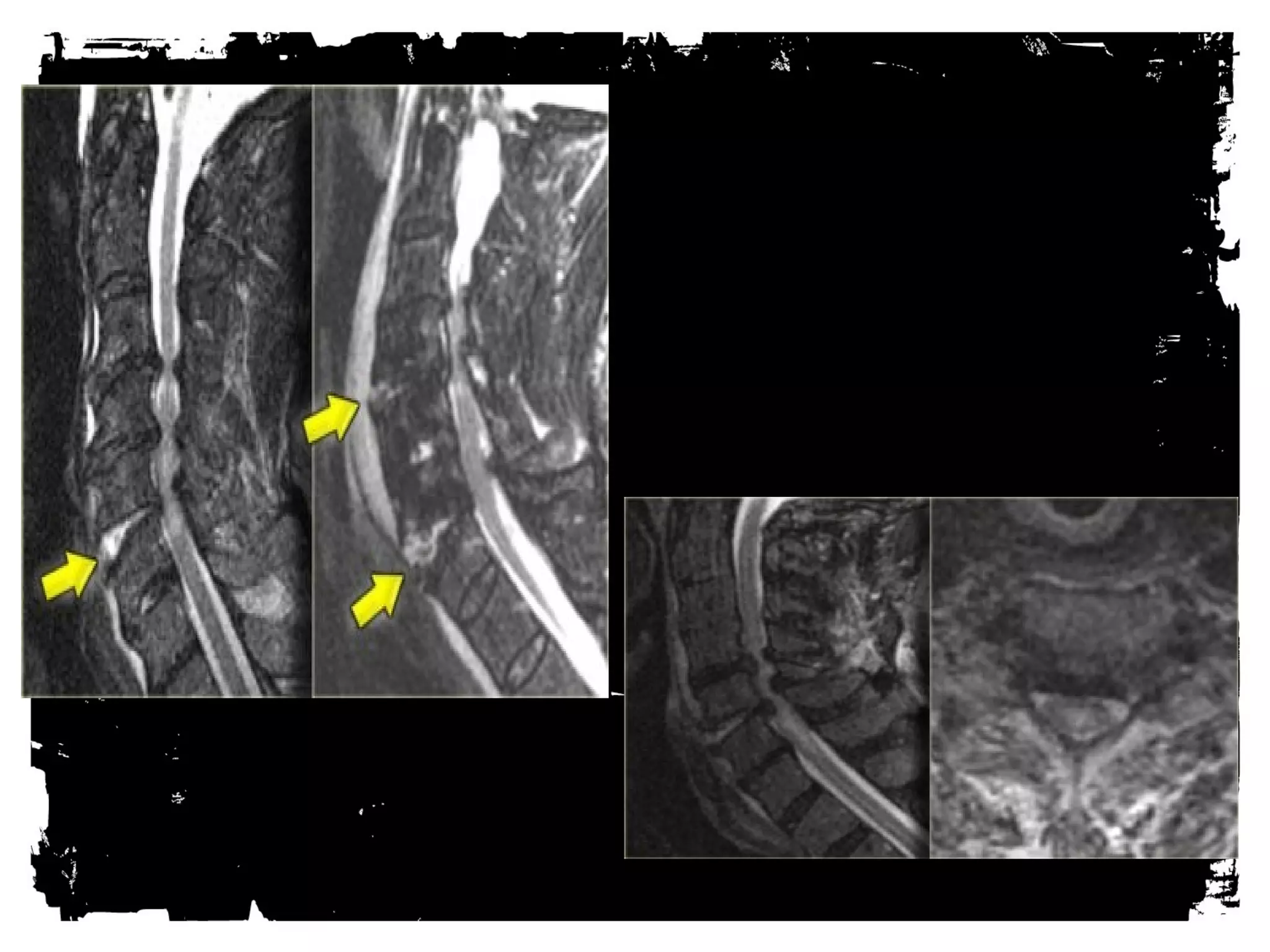 CLICK HERE TO ADD TEXT 
 