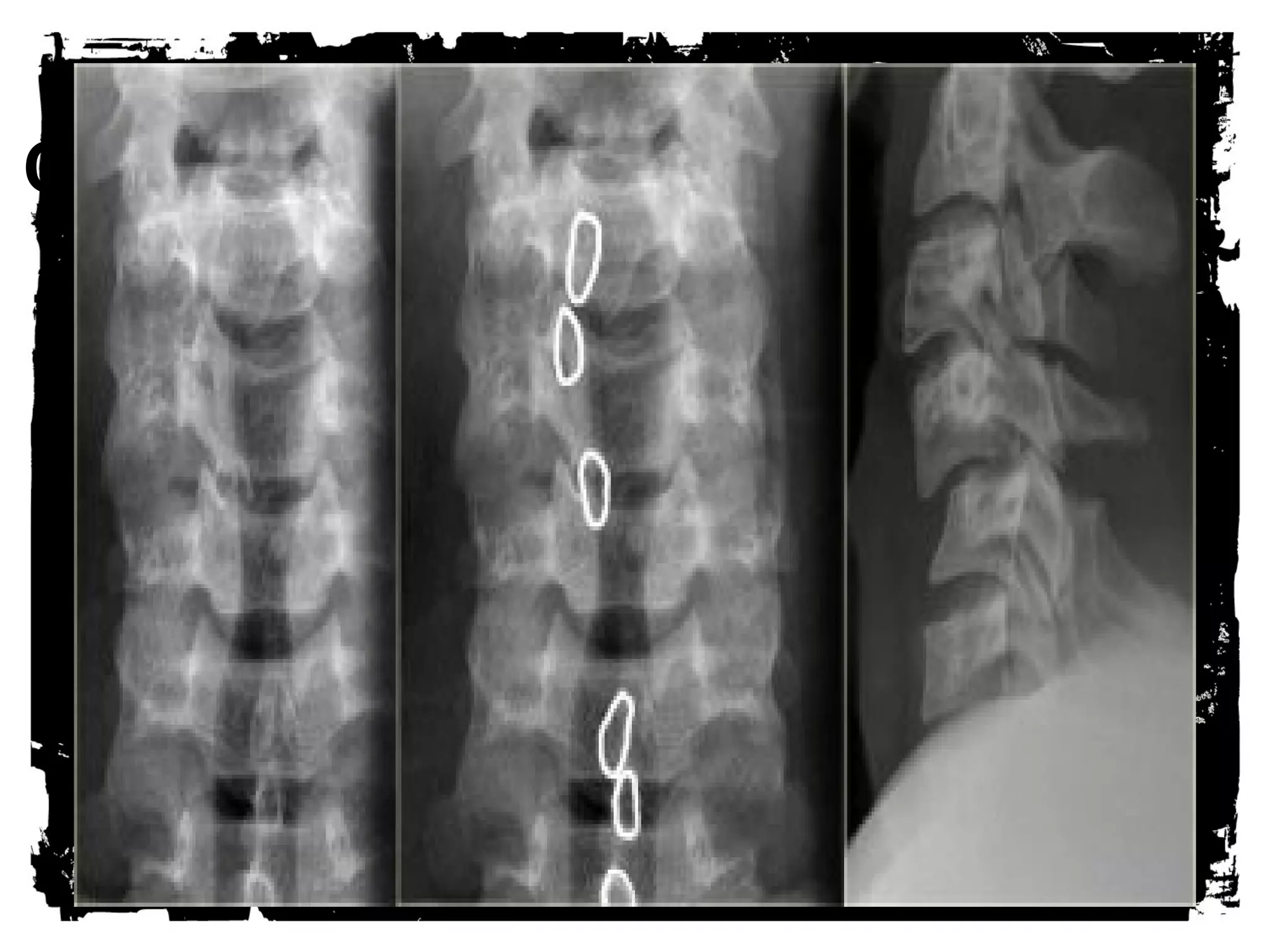 CLICK HERE TO ADD TEXT 
 