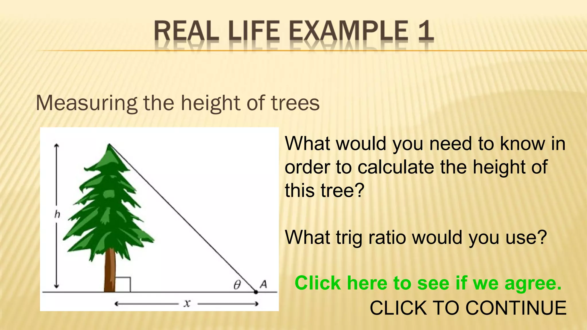 Measuring the height of trees
What would you need to know in
order to calculate the height of
this tree?
What trig ratio would you use?
Click here to see if we agree.
CLICK TO CONTINUE

 