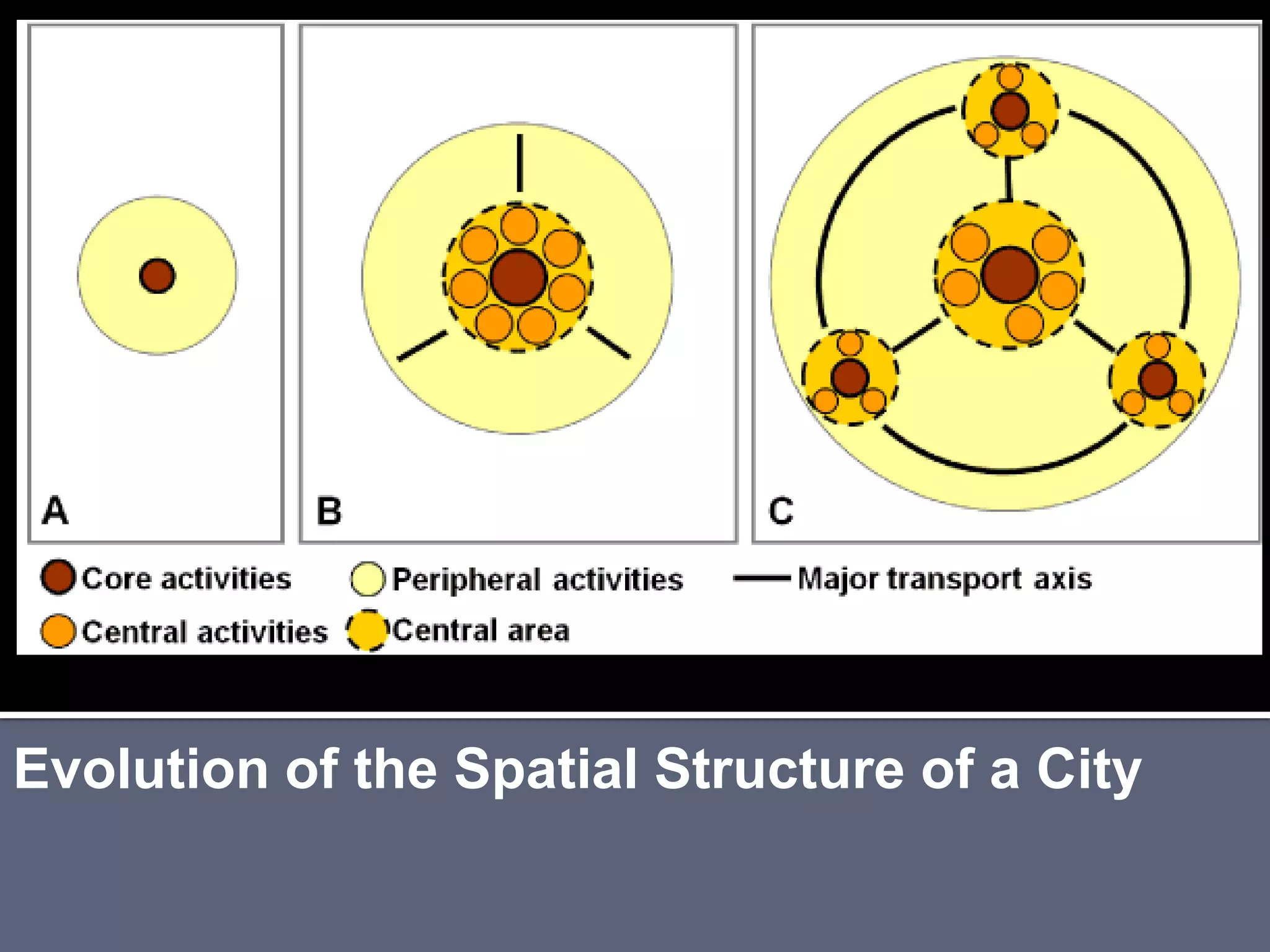 Evolution of the Spatial Structure of a City
 