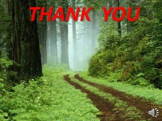 Introduction to urology by sayed eleweedy