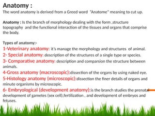 Veterinary Structure Introduction to veterinary anatomy-1.pptx