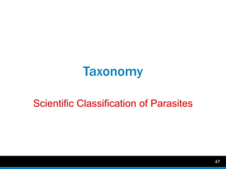 Introduction to veterinary parasitology asif | PPTX