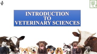 INTRODUCTION
TO
VETERINARY SCIENCES
 