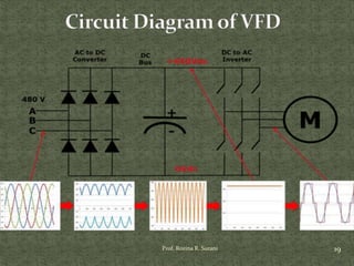 19Prof. Rozina R. Surani
 