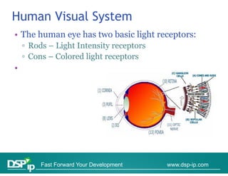 Human Visual System
• The human eye has two basic light receptors:
    ▫ Rods – Light Intensity receptors
    ▫ Cons – Colored light receptors
•




         Fast Forward Your Development   www.dsp-ip.com
 