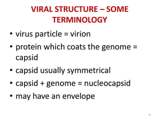 14
VIRAL STRUCTURE – SOME
TERMINOLOGY
• virus particle = virion
• protein which coats the genome =
capsid
• capsid usually symmetrical
• capsid + genome = nucleocapsid
• may have an envelope
 