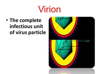 Virion
• The complete
infectious unit
of virus particle
15
 