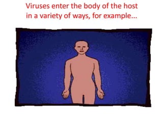 Viruses enter the body of the host
in a variety of ways, for example...
 