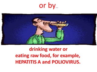 or by...
drinking water or
eating raw food, for example,
HEPATITIS A and POLIOVIRUS.
 