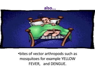 also...
•bites of vector arthropods such as
mosquitoes for example YELLOW
FEVER, and DENGUE.
 