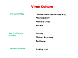 Embryonated Egg
Cell Lines/ Tissue
cultures
Animal inoculation
Chorioallantioc membrane (CAM)
Allantoic cavity
Amniotic cavity
Yolk Sac
Primary
Diploid/ Secondary
Continuous
Suckling mice
Virus Culture
 