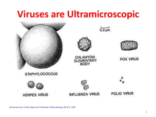 Viruses are Ultramicroscopic
Koneman et al. Color Atlas and Textbook of Microbiology 5th Ed. 1997
6
 