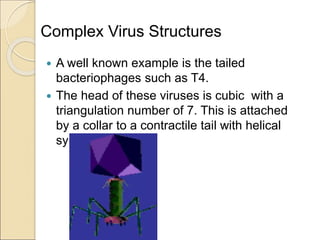 Complex Virus Structure Examples Virology for medical laboratory introduction to virus(2).ppt