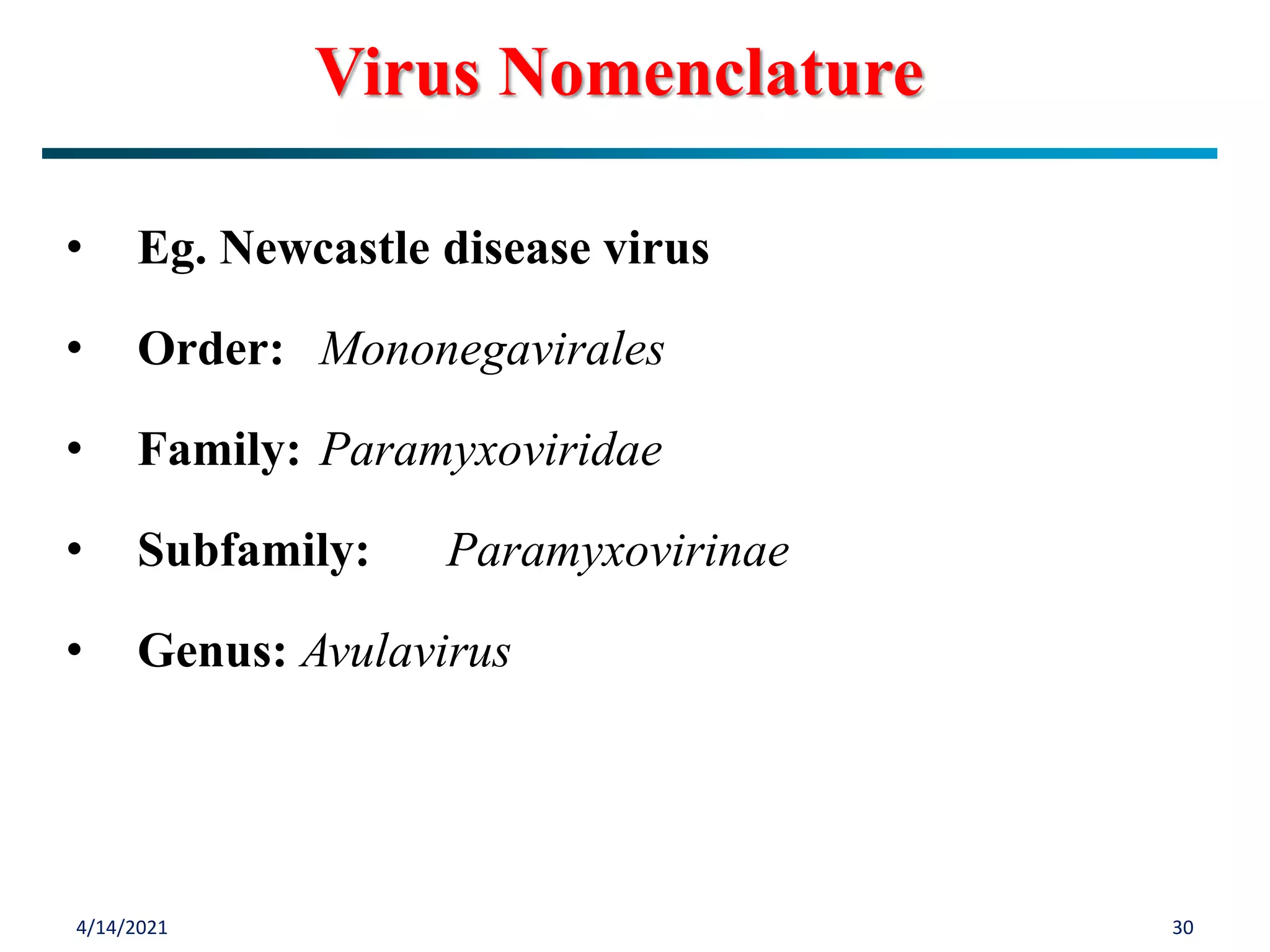 4/14/2021 30
• Eg. Newcastle disease virus
• Order: Mononegavirales
• Family: Paramyxoviridae
• Subfamily: Paramyxovirinae
• Genus: Avulavirus
Virus Nomenclature
 