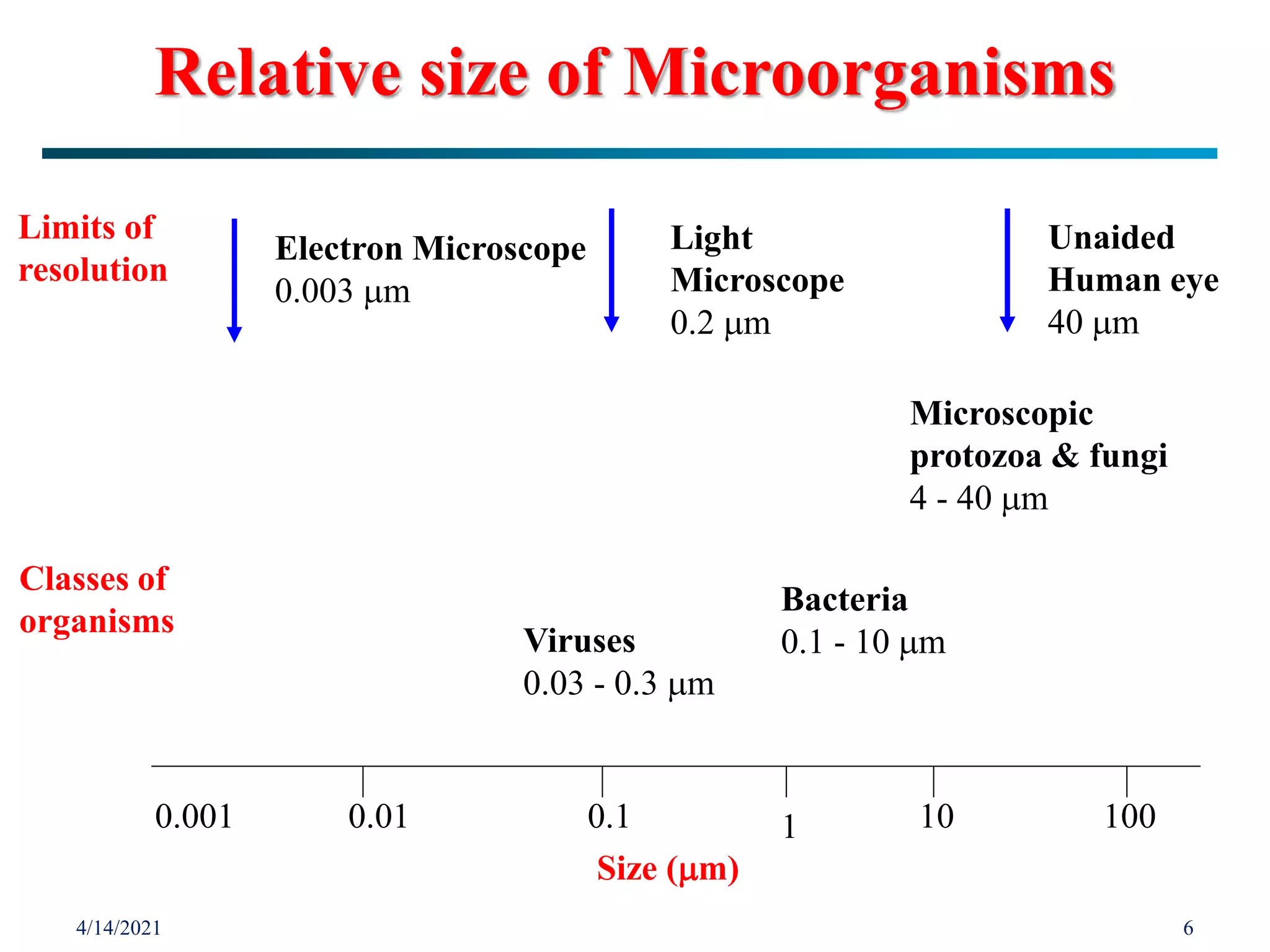 4/14/2021 6
Limits of
resolution
Electron Microscope
0.003 m
Light
Microscope
0.2 m
Unaided
Human eye
40 m
Microscopic
protozoa & fungi
4 - 40 m
Classes of
organisms
Bacteria
0.1 - 10 m
Viruses
0.03 - 0.3 m
0.001 0.01 0.1 1 10 100
Size (m)
Relative size of Microorganisms
 