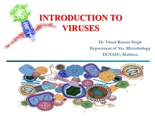 INTRODUCTION TO
VIRUSES
Dr. Vinod Kumar Singh
Department of Vet. Microbiology
DUVASU, Mathura
 