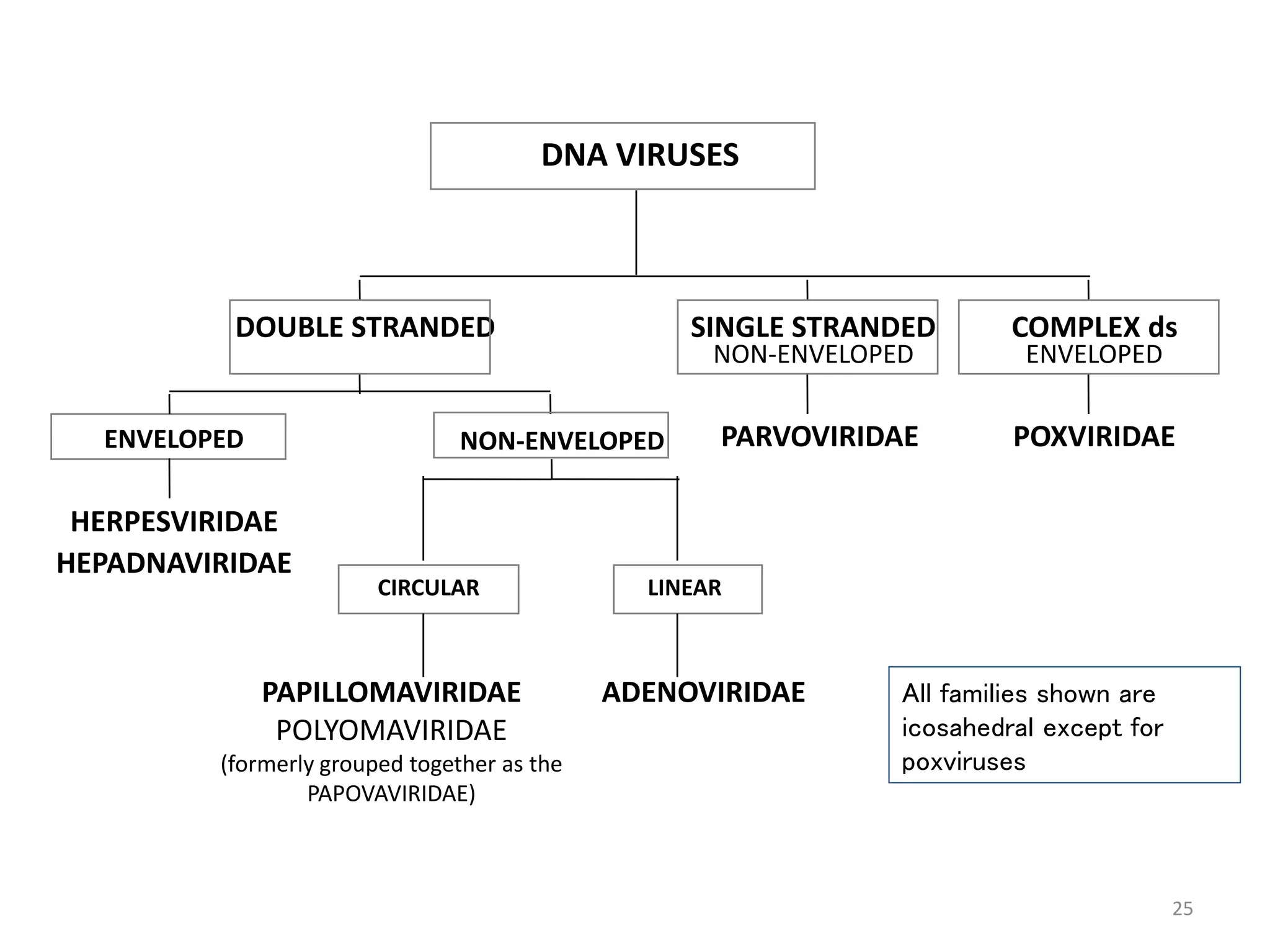 Introduction to Viruses of Medical Importance-1.ppt