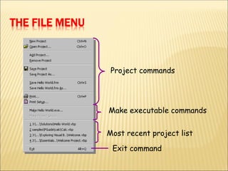 THE FILE MENU
Project commands
Make executable commands
Most recent project list
Exit command
 