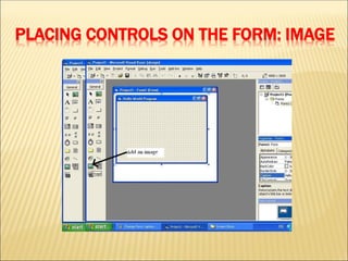 PLACING CONTROLS ON THE FORM: IMAGE
 