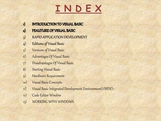 introduction to visual basic PPT.pptx
