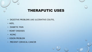 THERAPUTIC USES
• DIGESTIVE PROBLEMS LIKE ULCERATIVE COLITIS,
• AIDS,
• DIABETIC PAIN
• HEART DISEASES
• AGING
• VISION PROBLEM
• PREVENT CERVICAL CANCER
 