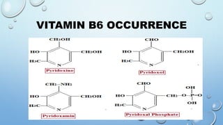 VITAMIN B6 OCCURRENCE
 