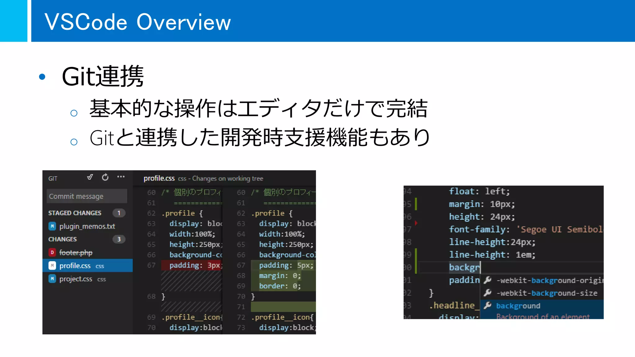 • Git連携
o 基本的な操作はエディタだけで完結
o Gitと連携した開発時支援機能もあり
VSCode Overview
 