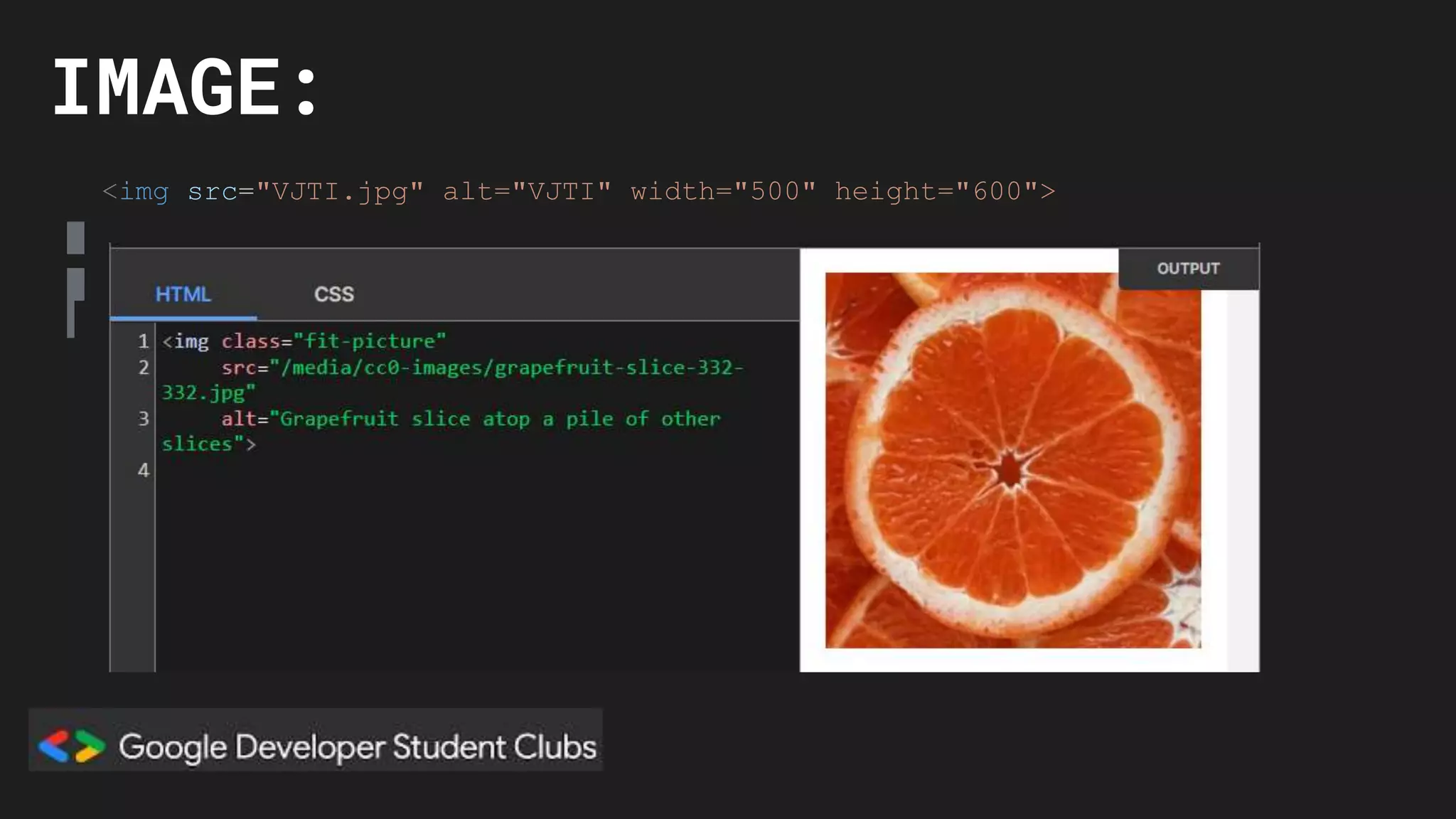 IMAGE:
<img src="VJTI.jpg" alt="VJTI" width="500" height="600">
 