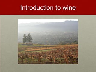 Introduction to wine 