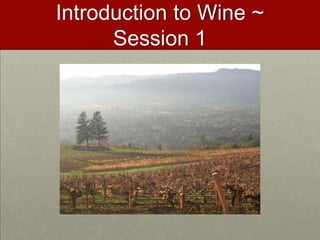 Introduction to Wine ~ Session 1 